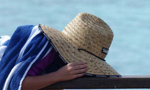 苹果短信轰炸机